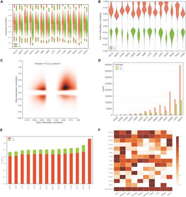 Co-occurrence and Mutual Exclusivity Analysis of DNA Methylation Reveals Distinct Subtypes in Multiple Cancers